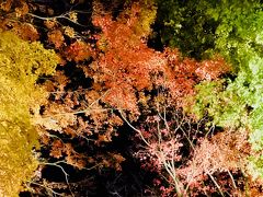 2017年の紅葉散歩 in 神奈川