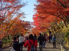 '17秋　ちょっぴり遅い紅葉狩り