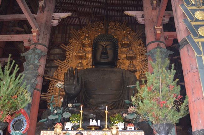 真冬の奈良へ行って参りました。<br />12月に先に行っていた友人から、とても寒いのは聞いてましたが、本当に寒かったです。<br />東京も出発日はこの冬一番の冷え込みで、電車を待つホームが辛かったです。<br />新幹線で東京から京都へ。宿泊先ホテルがドーミーイン奈良だったのでみやこ路線でJR奈良に。<br />1日目は到着後ホテルに荷物を預けて、東大寺-二月堂、法華堂-浮御堂-十輪院-元興寺-興福寺と回りホテルに戻って温泉とサウナ三昧でした。<br />
