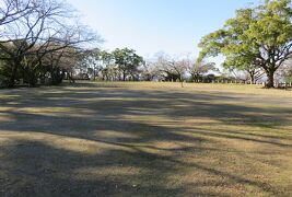 2017暮、大阪湾の名城(26/42)：12月6日(11)：徳島城(3/4)：城山、本丸、弓櫓