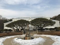 50回目の韓国旅行　そのⅥ