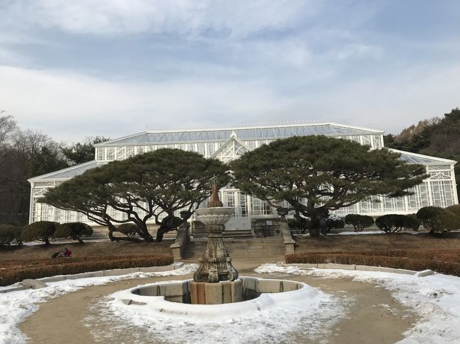 初めてのソウル一人旅　4日目最終日　<br />仁川・ソウルと流れて　とうとう最後の日だ。今日も晴れて風もなく寒いがいい天気。部屋で朝食を済ませ　いつもよりゆっくりチェックアウト。フロントに荷物を頼んで　東大門方向へ。昨日見た南平和市場をもう一度見たくて地下鉄で行ってみた。<br /><br />一階のカバン屋さんと地下のカバン屋さん　両方まわってなんとなく気になるリュックがあったのだけれど、決めかねて結局は買わずに帰る。迷ったら買い・・・と思える日もあるのだけれど。「出会っちゃった」と思える時は買い、だが、このところ迷ったらやめることにしている。ぜひとも必要というのであればそんなこと言ってられないのだが、物を増やさない生き方もソロソロ考えないとね。<br />市場の面白さは　デザインが本当に自由なところ。売れるのかな？と思える商品・作品もある。十分　目を楽しませててもらったので大学路へプラプラと。<br /><br />恵化駅すぐの　気になってた喫茶店　学林に入る。細い階段を上り　木枠にガラスのドアを押すとクラッシックが耳に入ってきた。煤けた木の感じが懐かしい喫茶店を思わせる。壁にはLPレコードがびっしりと並んで　中二階の手すりの下には音楽家の写真。昔、学校の音楽室に貼ってあったような。メニューを渡されカウンターで注文する。苦味のきいたコーヒーが運ばれてきた。一緒についてきたアーノルドパーマーの傘のマークが入ったコーヒースプーンに　若かりし頃を懐かしく思い出す。<br />木のぬくもりと珈琲の香り　入れ替わり立ち代わりお客は絶えない。けれど、落ち着いて本を読もうと思えるのは、かかっているクラシックのせいなのか、この空間のつくりのせいなのか。約1時間ほどいてお代わりのコーヒーも１＋１０００Wで飲んで、ようやく店を出た。<br /><br />さっきまで日が差していたのだが　どんよりと曇った空に変わっていた。雪にならないといいが。<br /><br />ソウル大大学病院を通り抜け　昌慶宮から昌徳宮へ行くことにした。<br />昌慶宮はあまり知られていないが　静かで気に入っている宮殿だ。映画やドラマの撮影にもよく使われる。背景にビルが映らないのがいいらしい。庭の奥にある　大きな温室が美しい。植民地時代、日本政府が作ったらしく丁寧な白くて美しい建物だ。この施設を維持し、いまだに日本にゆかりのある植物が大切に育てられていることに感謝してしまう。<br /><br />昌徳宮への通用門から別料金を払って入る。昌徳宮は建物も多く庭も広いが　今、秘園は自由に出入りできないようで時間制でガイド付きのためさらに料金がかかる。何度も来ているので、手前の方だけ簡単に見て昌徳宮を出た。<br /><br />こんどは地下鉄3号線で景福宮へ。昨日食べ損ねた　牡蠣の定食を食べようとモリョへ急ぐ。昼食時はとっくに過ぎ、3時少し手前。見つけたビルの前にはデモ集会が座り込みしていた。恐る恐るそのわきをすり抜け　地下に入る。店は3時から休憩「ブレイクタイム」と言われたが　女主人が私の顔を見て「日本人？一人？」と聞く。「そうです。」というとはいれと手招きをする。ここでも　日本人の一人旅は情けをかけてもらえたようだ。<br />席に着くと温かいお絞りが出てきた。こんな日は温かいお絞りがうれしい。すぐに牡蠣の定食をピビンパで注文する。<br />熱々のカキのチヂミ、酢の物、ちりちり焼けた牡蠣のピビンパ。どれも美味しい。空腹で冷えた体をお店の人情が温めてくれる。「私のせいでごめんなさい。ありがとうございました。」と言って食べ終わると早々に出てきた。<br /><br />ソウルに別れを告げるように清渓川に沿ってまたホテルに戻り、ホテル前のバス停からバスに乗る。ソウル駅裏で下り少し歩いて空港線のホームへ急いだ。飛行機が雪のせいで少し遅れたものの　夜中には無事に家に着いた。<br />初めての海外一人旅　50回目の韓国旅行は感動だけを残してめでたく終わった。<br /><br />今回の旅は　一人だったおかげで　本当に自分の気の向くままに歩き回ることができた。一日２万歩平均。多い日は２万６千歩だった。時間も目いっぱい使って、食べたいときに食べ　見たいときに見て　買いたいときに買って。したいことをして回る旅は本当に自由を満喫できて　リフレッシュできたように思う。<br />ただ　感動を共有できる人が傍にいないことが　肉声で伝えられないことが　物寂しく感じたのも事実だ。<br />つぎの旅はたぶん誰かと一緒だと思う。私には　たまの一人旅がちょうどいいようだ。<br />