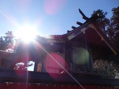 「おいぬ様」信仰の武蔵御嶽神社で戌年の初詣