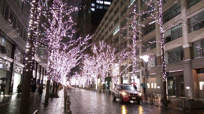 ご覧戴きましてありがとうございます。<br /> 2018年1月8日現在、東京都内では様々なイルミネーションイベントが開催されています。<br /> そのうち東京駅近くに位置する丸の内仲通りでは「丸の内イルミネーション」、JR有楽町駅前では「有楽町駅前ウィンターイルミネーション」が開催されています。<br /> それぞれのイベントの概要についてはあまり詳しくわかりませんが、今回はその2つのイルミネーションイベントをさらっと観覧した時の様子を紹介させて頂きます。<br /> なお、一部の写真についてはコメントの記載を省略しておりますので、ご了承の上、よろしければご覧ください。<br /><br />