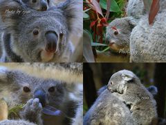 年末年始の休みは動物園に行きっぱなし！！