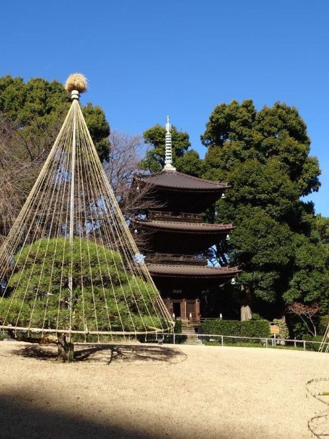 2018年今年も皆さまどうぞよろしくお願いいたします。<br /><br />年末年始はいつになく忙しく過ごしました。旅行記にするまでもないような気がしますので・・・気が向きましたら旅行記にするかもです。<br /><br />3連休にやっとお休み到来!!<br />大好きな椿山荘に休息にお伺いしました。<br />が。<br /><br />新年早々あまりよろしくない感じです。<br />お気分害されましたら失礼いたします。