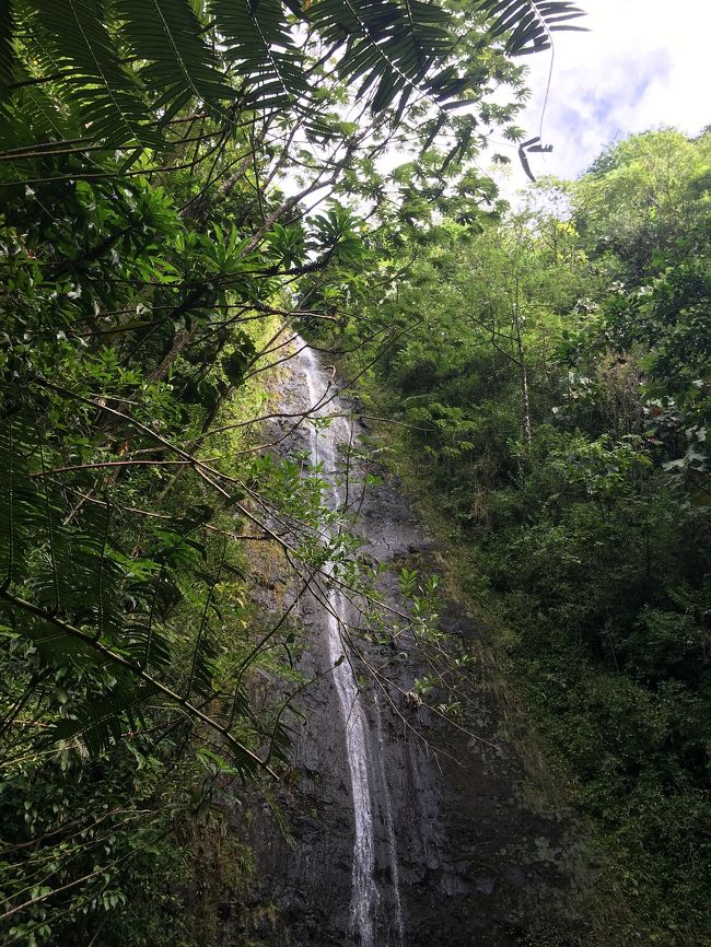 2017.12.22~2017.12.30<br />癒しの空間ハワイへの一人旅<br />ワイキキからマノアの滝を見にいく。<br />走って1時間30分くらいかな？<br />自然の中に身を任せて、<br />深呼吸すると身体が軽くなりました。