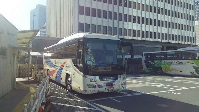 東京駅やその周辺から空港まで格安なバスが出ていますが、2017年12月16日よりリフト付き高速バスの実証運行路線として東京駅鍛治橋駐車場～成田空港までの路線が開業しました。<br />値段や乗車方法も他のバス同様で選択の幅が広がったと思います。