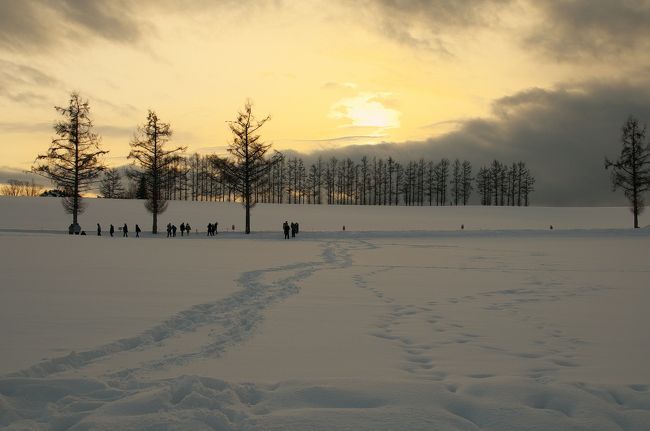 『美瑛の雪景色でも見に行こうか』、『雪なんて毎日見てるしょ』、<br />『でも美瑛は又違った風景が△×□？・・・』、<br />『白金温泉にも泊まるなら行ってもいいよ～』<br />と言う事で早速ホテルの手配。美瑛と白金温泉は丁度１０年前の秋に訪れた事がある。今回は冬道の運転を避けJRを乗り継いで行ってみました。<br />初日は美瑛駅から観光バス「冬のパッチワークコース」に乗車して<br />雪原の丘を巡ります。夜は美瑛の町を散歩。<br />翌日の午前中も町内を散歩したあとホテルの送迎バスで<br />白金温泉に向かいます。<br /><br />後編で白金温泉をＵＰします