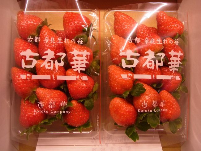 ある店と話していたら、糖度が高くて水分が少なめの苺が話題になり、<br />住んでいる京都から日帰りで買いに行ける距離で調べてみました。<br />そうすると、奈良県産の「古都華(ことか)」が気になり、苺に関して<br />全くの素人ながら興味が湧き、農園にアポを取って伺うことに。<br /><br />今回は2017年1月に訪問していますが、下見も兼ね2017年12月に<br />先に1人で伺いました。<br />古都華の話題になって同調者が2名出て、しかも1人はマイカーを<br />出してもらうため、3人で行動。<br /><br />予定外の収穫もあり、えぇ年した3人がきゃあきゃあ言いながら<br />道中楽しめ、差し入れした苺で試作品も頂き、充実した行程でした。<br />では、ご覧になってやってください。