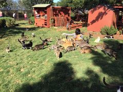 マウイ島の旅行記