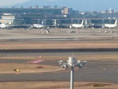 羽田空港で飛行機を満喫してから、またまたバースデーを祝うお泊まりディズニー！今回はランドもシーも楽しんだ２泊３日①