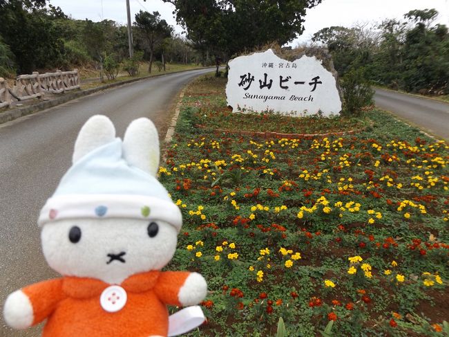 グーちゃんだよ。<br />２０１８年初っ端の宮古島の旅。<br />到着日の初日は１月３日なのに半袖で過ごせる暑さだったけど<br />さすがに３・４日目は雨&amp;風でそれなりの寒さに！<br />まぁ、それでも十分に南国宮古島を楽しめたよ。<br />泡盛も宮古そばも旨かったし、また来るね！！