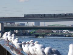 東京のウオーターフロント・隅田川を岩渕水門から浅草。