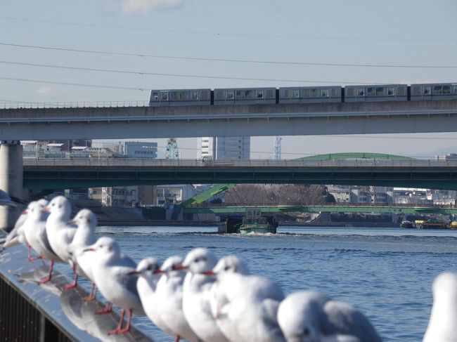 　　東京のウオーターフロント隅田川は北区の岩渕水門で荒川から別れ、そこから東京の東の方を南北に流れ東京湾へ注いでいます。<br />　前回、浅草仲見世があるので浅草から始めて勝鬨橋まで歩いたのですが、それでは隅田川を歩いた事になりません。<br />　それで、荒川の分流地点の岩渕水門から浅草仲見世まで歩けば一応完結します。<br />　しかし、地図を見ると隅田川はくねくねと意味もなくカーブを描き距離を稼いでいます、前回の倍近い距離です。<br />　