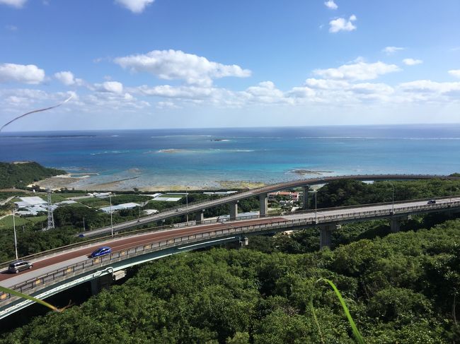 お正月旅行にあたたかくて久しぶりの沖縄を選びました。<br />観光したいところはあまりありませんが<br />のんびりすごしたいと思いました。