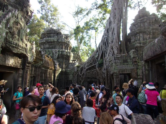 還暦過ぎ夫婦世界一周カンボジア3　アンコールトムのタ・プロームを樹木が抱擁していた。