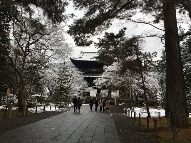 京都に一泊して、<br />目覚めると、雪の朝でした。<br />予約していた南禅寺近くの瓢亭別館で朝粥。<br />能、狂言の鑑賞。<br />八坂神社、抹茶アイスクリームなど<br />冬の京都を堪能してきました♪