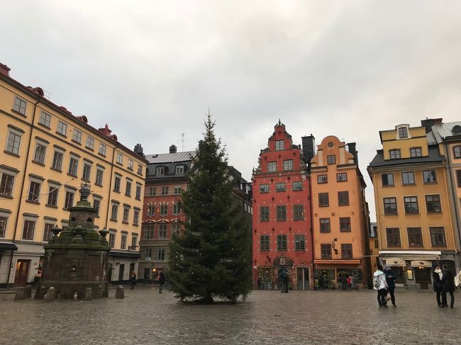 年末年始に北欧のスウェーデンストックホルムとフィンランドヘルシンキに行ってきました。<br />ヨーロッパの昔ながらの町並みと現代のアートが融合した素敵な都市でした。<br />北欧雑貨大好き、ムーミン大好き、マリメッコ・イッタラ・イケアとフインランド。スウェーデンブランドが大好きな私にとってはたまらない旅。<br />観光にショッピングにグルメにと大満足の旅でした。<br /><br />旅程は<br />12月29日　成田空港　22:00発　カタール航空<br />12月30日　早朝ドーハラマド空港着　ドーハ市内観光　ドーハからストックホルムへ<br />12月31日　ストックホルム市内観光<br />1月1日　ストックホルム市内観光　午後シリアラインでヘルシンキへ<br />1月2日　午前ヘルシンキ着　ヘルシンキ観光　夜再び飛行機でストックホルムへ<br />1月3日　ストックホルム市内観光　夜ストックホルムからドーハへ<br />1月4日　早朝ドーハ着　トランジット約１時間で羽田へ　22:00羽田着<br /><br />１週間で詰め込みのスケジュールでしたが大満足の旅でした。<br /><br />※カタール航空での旅は「カタール航空で行くストックホルム　ドーハと搭乗記」編で。