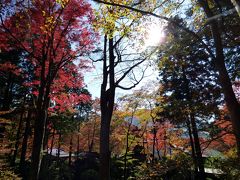 ０８．紅葉を楽しむＨＶＣ箱根甲子園２泊　紅葉の名所 長安寺