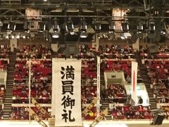 初場所観戦