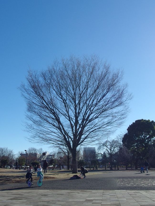 天気もいいし、どっか出かけよう。と、前から気になっていた遺構を訪問。旧日立航空機変電所跡に行ってきました。ついでに♡どっかでランチしてケーキ食ってこようぜい!<br /> <br />結果ランチ難民になりグダグダになって帰って来たよ笑