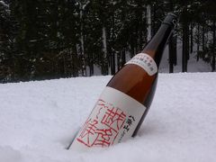 四季を通して楽しむ湯沢＜冬編＞/Enjoying Echigo Yuzawa through a year<Winter>