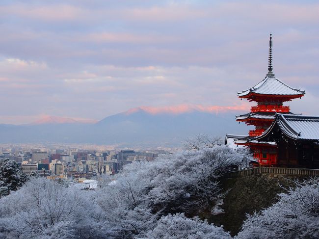 お正月気分もすっかり抜けましたね。<br />2018年最初の旅は1泊2日で京都へ。<br /><br />目的は、どなたかの旅行記で見て店名とメニューに惹かれた六条新町のお蕎麦屋さん、招福亭と清水寺の早朝参観。<br /><br />あまり知られていませんが、清水寺は朝6時から拝観できるんです。<br />1月の寒い朝に拝観する物好きはそうそう居ないであろうと出かけてみました。<br /><br />清水さんへは今まで何度も足を運んでいますが、凛とした空気と厳かな雰囲気に包まれ、貴重な体験ができました。<br />今回は本当に冬のご褒美頂きました！<br /><br /><br />