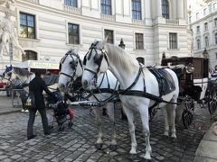 憧れのウィーンへ☆女ひとり旅 （5泊8日）その6