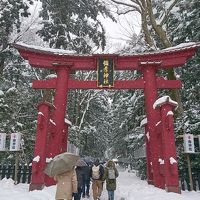 ＊真っ白な雪世界！最終日は雪積もる彌彦神社へお参り＊＊