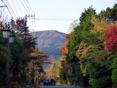 １２．紅葉を楽しむＨＶＣ箱根甲子園２泊　桃源台の散歩道　湖畔ふれあい園地　仙石原のススキ平原