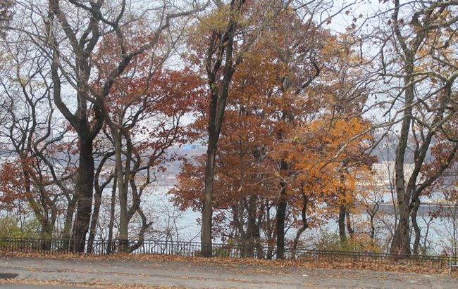 　1枚の絵に惹かれました。一人の女性が広い草原に横たわり、丘の上の家を見上げています。どうしても実物に会いたくなりました。<br />　また、かねがね、一度は生の音を聴いてみたいと思っていました。ボストン交響楽団とニューヨークフィル。<br /><br />　秋も深まった11月下旬、JL004便は夕暮れのJ・F・ケネディー空港に降り立ちました。ニューヨークとボストンの芸術の秋と、ちょっぴり食欲の秋を楽しみに、、、。