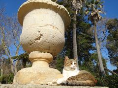 2017年2月 猫好きなら憧れる猫の国マルタへ～姉妹旅5～7日目(マルタ島・イムディーナからの帰国まで)