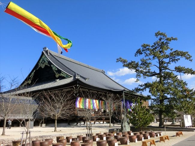 津で寺社参拝。