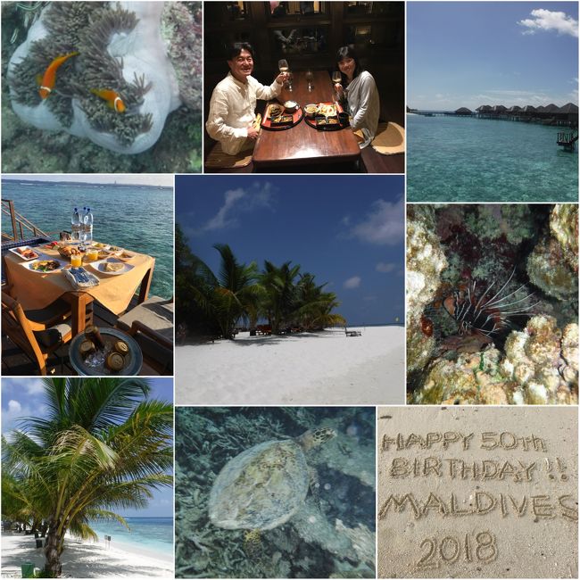 18年1月 モルディブの海に魅せられて Adaaran Prestige Vadoo ダンナ50歳の誕生日記念旅行 モルディブの旅行記 ブログ By ゆみずさん フォートラベル 18年1月 モルディブの海に魅せられて Adaaran Prestige Vadoo ダンナ50歳の誕生日記念旅行 モルディブの旅行記 ブログ By ゆみずさん フォートラベル
