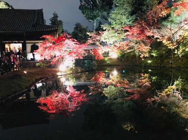 京都に生まれ育ったのに紅葉の名所には行った事が無かったので主人と紅葉狩りに行ってきました。<br /><br />自宅から嵐電に乗って嵐山へ<br />竹林の道から天龍寺<br />阪急で河原町駅へ移動<br />八坂神社から高台寺の夜間拝観<br /><br />紅葉とても綺麗でした。<br />