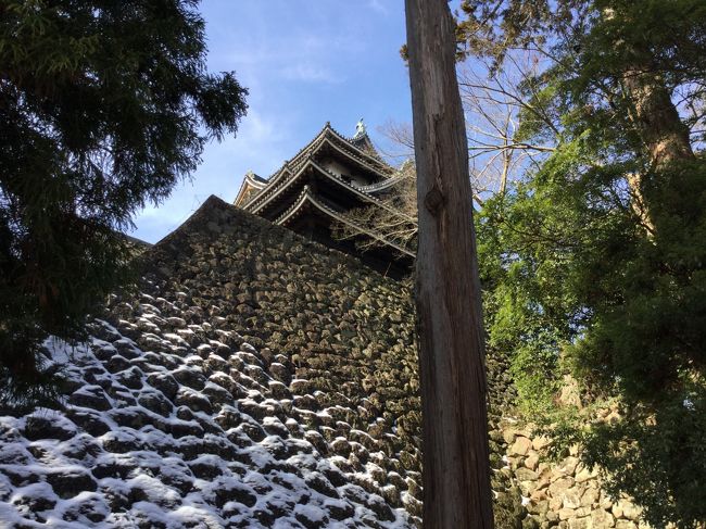 松江城の堀巡り。<br /><br />観光候補では、出雲・日御碕、境港・美保関、松江、石見銀山、足立美術館<br />などを選び、温泉津、玉造、皆生の温泉と。<br />結論は温泉津と石見銀山でしたが、三江線が雪のため運休したため<br />岡山からは伯備線経由しかなく米子経由で松江で途中下車して温泉津温泉に行くことにした。<br /><br />一応予備の候補として松江のパンフレットも観光協会から送ってもらったのを持ってきていたので、<br />堀めぐり、松江城、松江城の付近を散策することにした。<br />松江駅の観光案内で堀めぐりを聞き、炬燵に入って回るので<br />年中やっていますとのこと。<br />堀めぐり、松江城、小泉八雲旧居を観光しました。