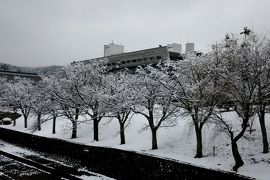 2018.1京都２往復出張2-ホテルモントレ京都，雪の国際会館，セカンドハウス北山店で昼食