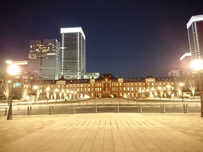 江戸城篇<br /><br />より。<br />東京駅丸の内口の煉瓦建物を撮影するために行きました。<br />丸ビル、新丸ビル、丸ビルと新丸ビルの間の歩道、KITTE、東京国際フォーラムで撮影してました。<br />夜景を撮影し終わったら、帰郷の徒につきました。<br />海ほたるも撮影できなかったし、また再訪しなくちゃだなぁ。<br /><br />終わる。