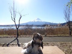 晩秋の伊豆/河口湖♪　Vol10(第3日)　☆河口湖：「大石公園」絶景の富士山♪