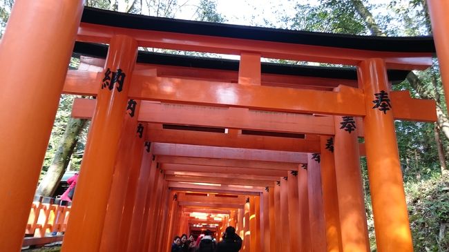 家庭の事情で、月の半分を奈良のダーリン実家で暮らすことになったにゃんこ夫婦!<br />ダーリンとじーちゃんは湯河原へ出掛けたので、お留守番のにゃんこ一人で散歩がてら(?)京都に遊びに行きました!<br />乗り換えの大和西大寺駅まで来て、ご朱印帳を忘れたことに気付き、大ショック!<br />うっかりにゃんこの一人でお出かけ、この先どーなる!?