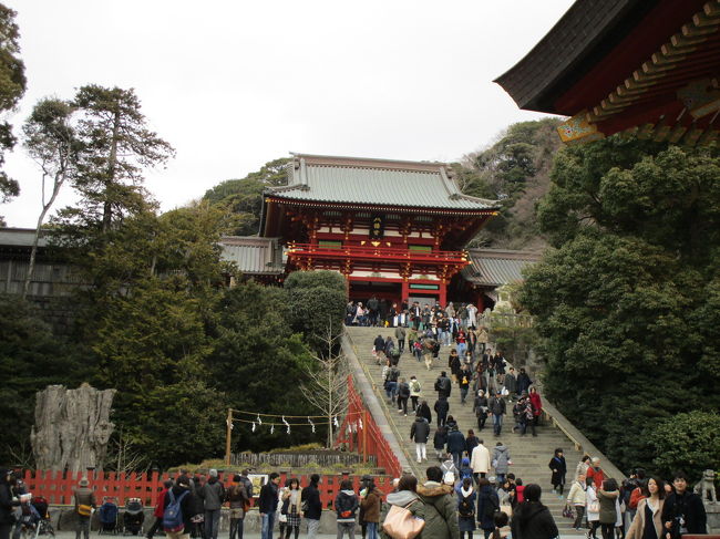 毎年新年会が江ノ島駅近くの旅館で催されるのですが、今年は合わせて鎌倉のお寺と八幡宮へ行ってきました。<br />八幡宮への通りは賑やかでしたが、寿福寺付近は人通り少なく落ち着いていました。