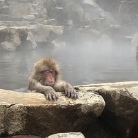 野沢温泉とスノーモンキーパークの旅