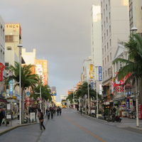 那覇市街のリウボウ・松山公園・国際通りを見て歩き