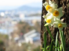 新春レッサーパンダ遠征はバスでめぐる四国３県３園再訪と温泉の旅（７）【高知編】トロトロ美人の湯宿・高知黒潮ホテルの前泊から高知駅前の庄やの海鮮グルメと高知みやげまで