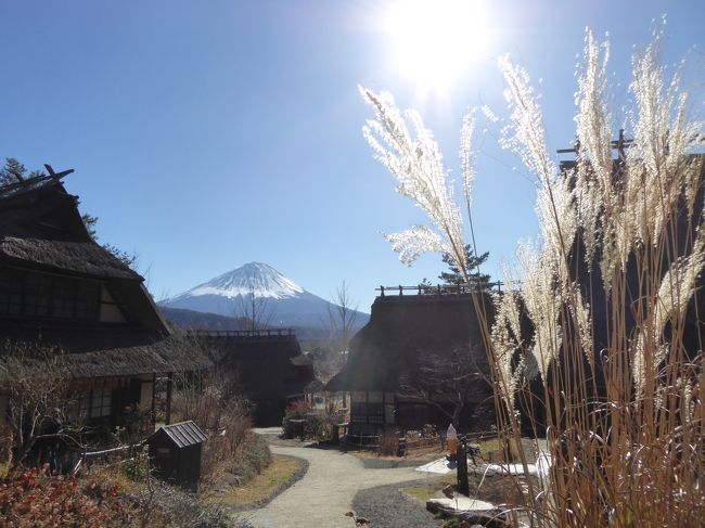 11月23日-11月26日の3泊4日　伊豆と河口湖に行きました♪<br />愛犬と一緒に温泉・紅葉・グルメをたっぷりと楽しんできました♪<br /><br />☆Ｖｏｌ１１：第３日目（１１月２５日）河口湖♪<br />河口湖「レジーナリゾート富士」。<br />今日は近くを回る。<br />もちろん愛犬と一緒に。<br />河口湖の「大石公園」から西湖へ。<br />「西湖いやしの里根場」。<br />2年ぶり。<br />茅葺屋根が並ぶ風景はいつ見ても飽きない。<br />見ているだけで癒される。<br />晩秋から初冬へ移り変わる風景。<br />そして向こうに白く輝く富士山。<br />ゆったりと眺めて♪<br />