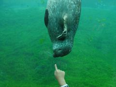 3人子連れ北欧周遊19泊の旅　デンマーク編　Hirtshalsの水族館、バイレ一泊