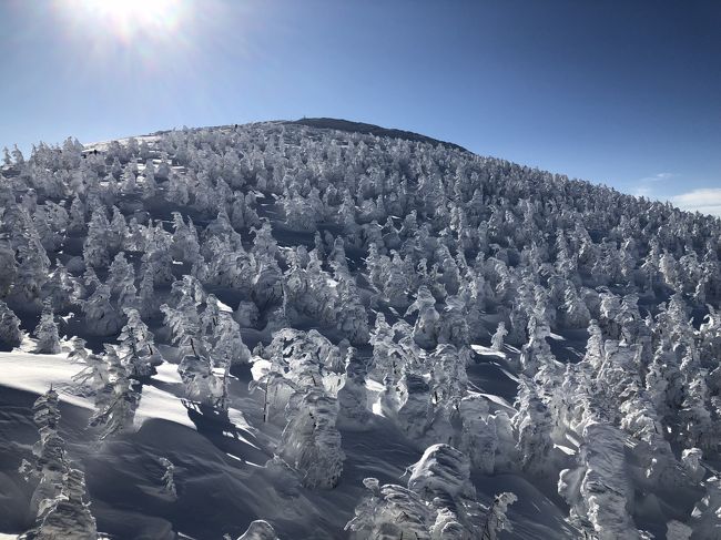 友人に誘われて久し振りに山形蔵王のスノーモンスターに逢いにスキーに行きました。<br />山形蔵王は15年振りくらいです。<br />以前は友人の会社の保養所があって安く泊まれたので毎年来ていましたが、<br />バブルが弾けた影響で業績悪くなり閉鎖されてしまい。<br />それ以来です。<br />ウチの会社の保養所も全て売却されたので、毎年スキー旅行も大変です。(^_^;<br />おかげでスキー行く回数減っちゃったなぁ～。<br /><br />今回は友人がめっちゃ安いツアー探して来ました。<br />往復新幹線＋ホテル2泊（2食付）＋リフト3日券で45,000円です。(@_@)<br /><br /><br />＜日程＞<br />●2018/1/18(木)<br />　2018/1/19(金)<br />　2018/1/20(土)<br /><br />＜交通＞<br />東京駅－（山形新幹線）－山形駅　\45,000　（宿泊費＋リフト3日券付）<br />山形駅－蔵王温泉　\1,000 * 2 = \2,000<br /><br />＜宿泊＞<br />ホテル　オークヒル（2食付）<br /><br />●合計 \47,000<br /><br /><br />このツアーは安い！来年も行こうかな～♪<br />