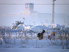 早朝ウォーキングコースで関東地方の大雪の状況をチェック