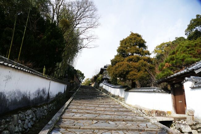 初めての大分県訪問。しかも３泊４日の限られた時間で、行きたいところがたくさんありすぎ、あまり見て回れないような気がした。<br /><br />23日長崎から高速バスで大分に来た。この日は関東地方では記録的な大雪が降り、大幅に交通機関がマヒしたことをニュースで知った。九州でも山間部はものすごい雪となり、長崎から大分まで通常だと4時間弱で到着するようであるが、山岳地は徐行運転でかなり遅れて到着した。<br /><br />しかし、山間部を過ぎ、大分方面に来ると、雪は降っておらず、雨模様であった。到着した日はあまりにも寒かったので、ホテルに到着後はもう外に出ることもなく部屋にこもってしまった。翌日、杵築へ出かけた。大分から日豊本線を利用して列車で１時間くらいで到着したが、さらにバスに乗り換えなければならなかった。